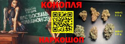 стафф Камышлов