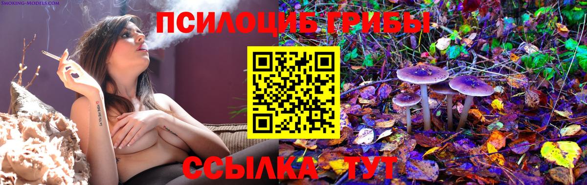 Псилоцибиновые грибы мухоморы Красноярск