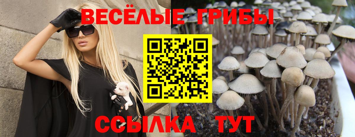 Красноярск  Галлюциногенные грибы мухоморы  Вход с VPN  Галлюциногенные грибы Magic Shrooms 